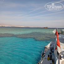 фото из отзыва ID 2741922