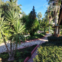 фото из отзыва ID 2741923