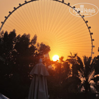 фото из отзыва ID 2741945