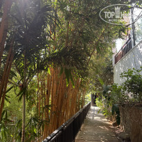 фото из отзыва ID 2741952