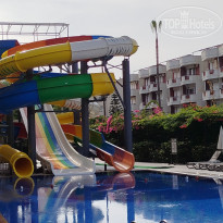 фото из отзыва ID 2741768