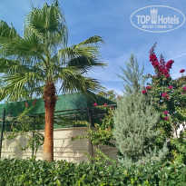 фото из отзыва ID 2741768