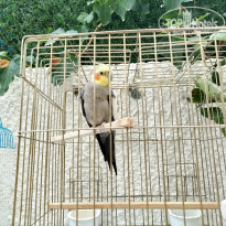 фото из отзыва ID 2741768