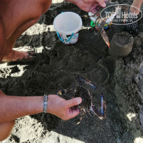 фото из отзыва ID 2741233