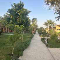 фото из отзыва ID 2741984