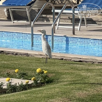 фото из отзыва ID 2742006