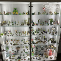 фото из отзыва ID 2742013