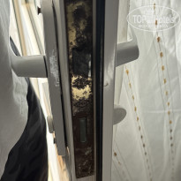 фото из отзыва ID 2742018