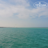 фото из отзыва ID 2742032