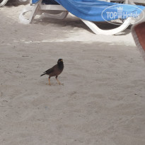 фото из отзыва ID 2742043