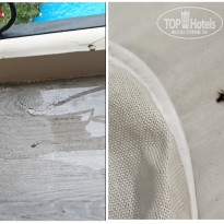 фото из отзыва ID 2742058