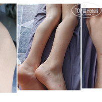 фото из отзыва ID 2742058