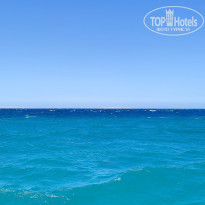 фото из отзыва ID 2742062