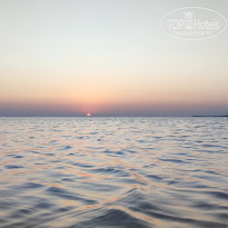 фото из отзыва ID 2742062