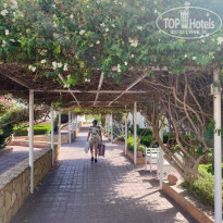 фото из отзыва ID 2742072