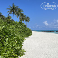 фото из отзыва ID 2742104