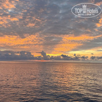 фото из отзыва ID 2742104