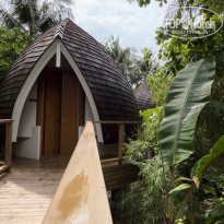 фото из отзыва ID 2742104