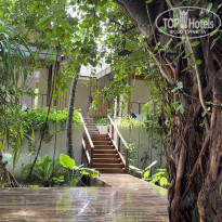 фото из отзыва ID 2742104