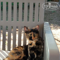 фото из отзыва ID 2742114