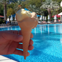 фото из отзыва ID 2742114