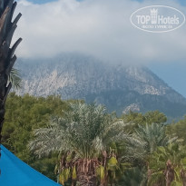 фото из отзыва ID 2742114