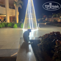 фото из отзыва ID 2742127