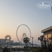 фото из отзыва ID 2742146