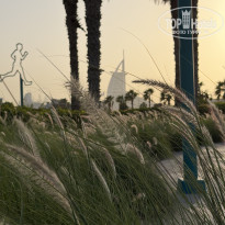 фото из отзыва ID 2742146