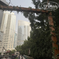 фото из отзыва ID 2742146