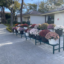 фото из отзыва ID 2742165