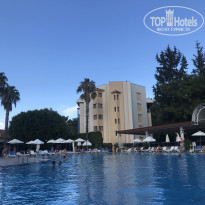 фото из отзыва ID 2742183