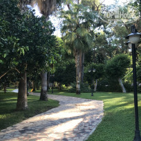 фото из отзыва ID 2742183