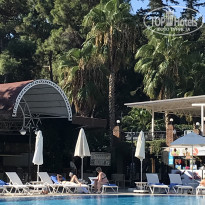 фото из отзыва ID 2742183