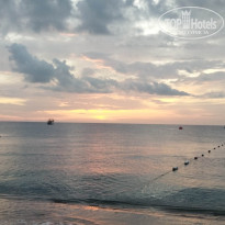 фото из отзыва ID 2742185