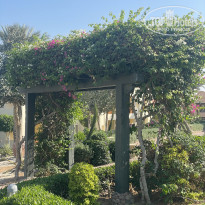 фото из отзыва ID 2742190