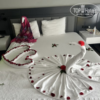 фото из отзыва ID 2742212