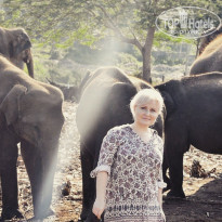 фото из отзыва ID 2742219