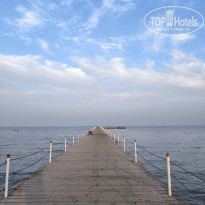 фото из отзыва ID 2742220