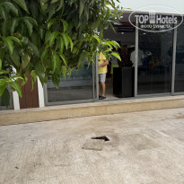 фото из отзыва ID 2742225