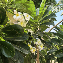 фото из отзыва ID 2742227