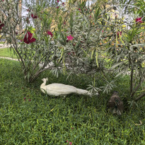 фото из отзыва ID 2742227