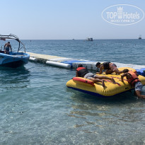 фото из отзыва ID 2742217