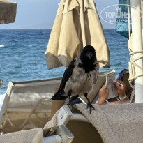 фото из отзыва ID 2742251