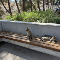 фото из отзыва ID 2742251