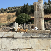 фото из отзыва ID 2742251