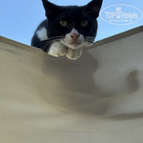 фото из отзыва ID 2742251