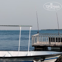 фото из отзыва ID 2742262