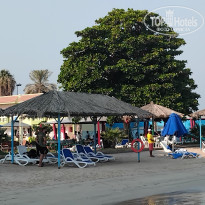 фото из отзыва ID 2742262