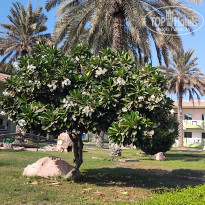 фото из отзыва ID 2742262